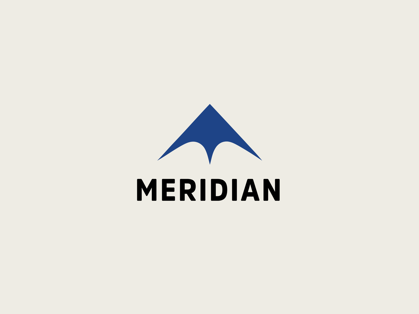 Meridian Wealth logo brand